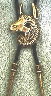 Bolo Tie - Style #3