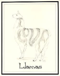 I Love Llamas