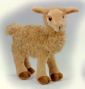 Luan Llama