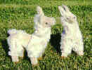 Pagan and Wiccan Children's Llama Gifts - Plush Llamas