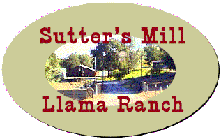 Sutter's Mill Llama Ranch
