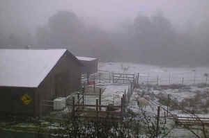 snosobarn.JPG (18006 bytes)