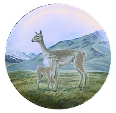 "The Vicuna" Collector Plate