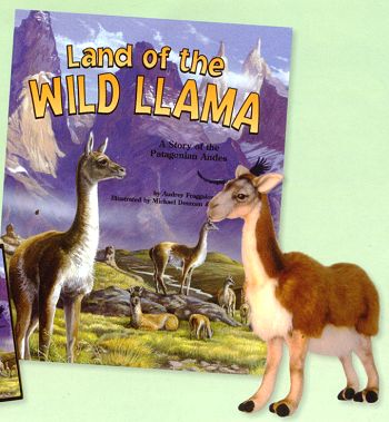 Guanaco - Wild Llama